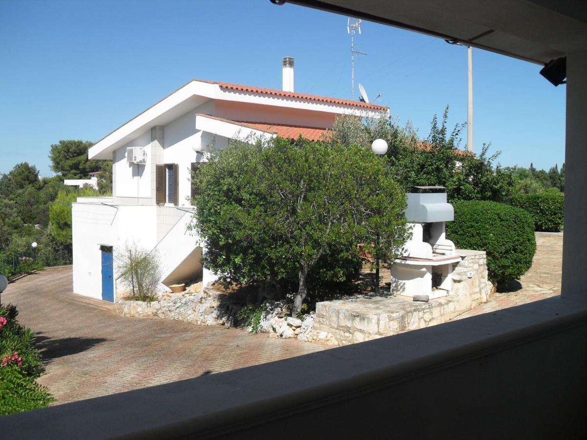 Apartment Lamamare