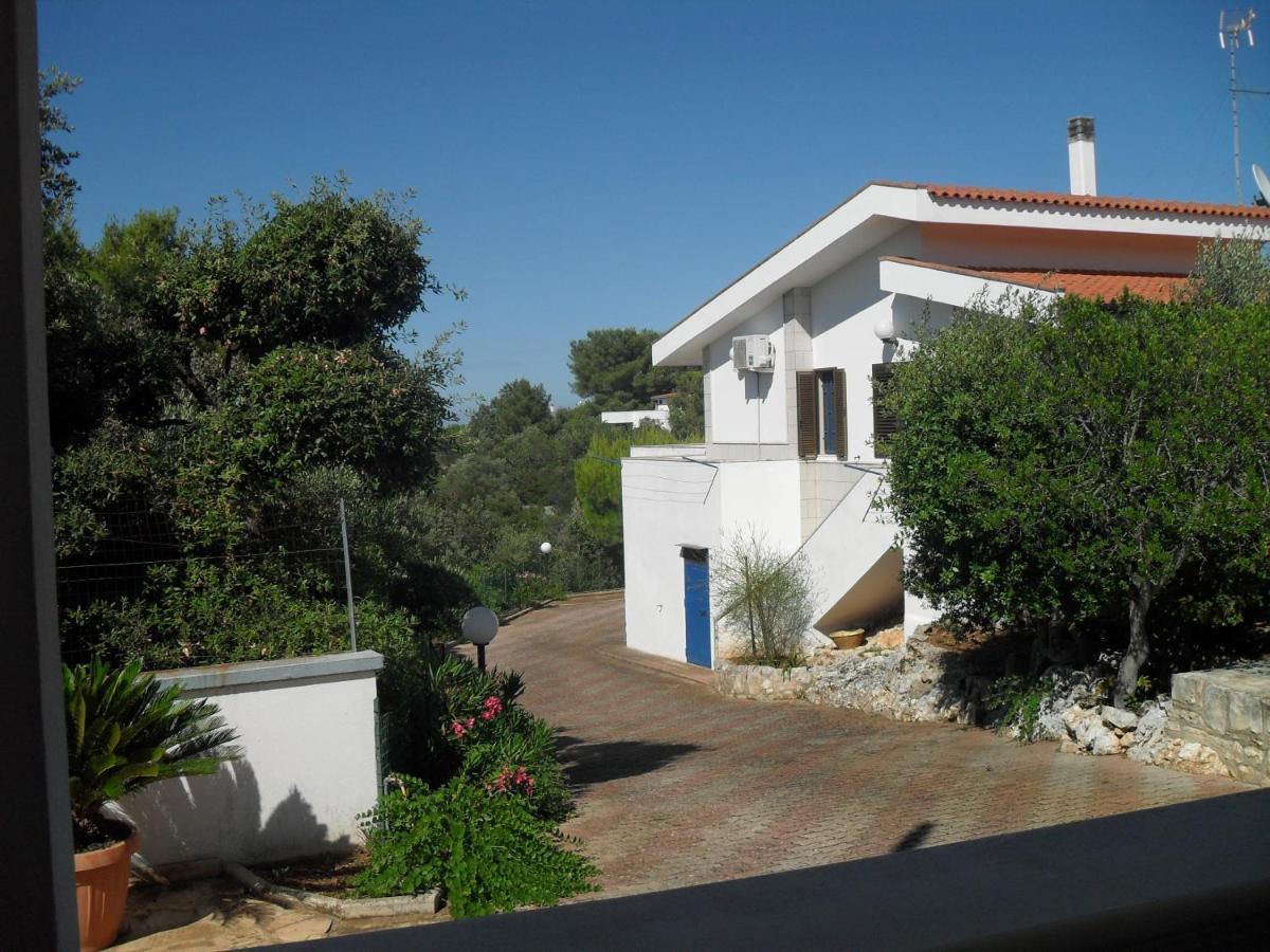 Lamamare Apartment