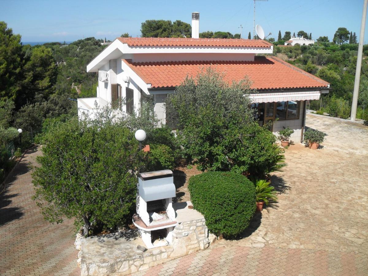 Apartment Lamamare