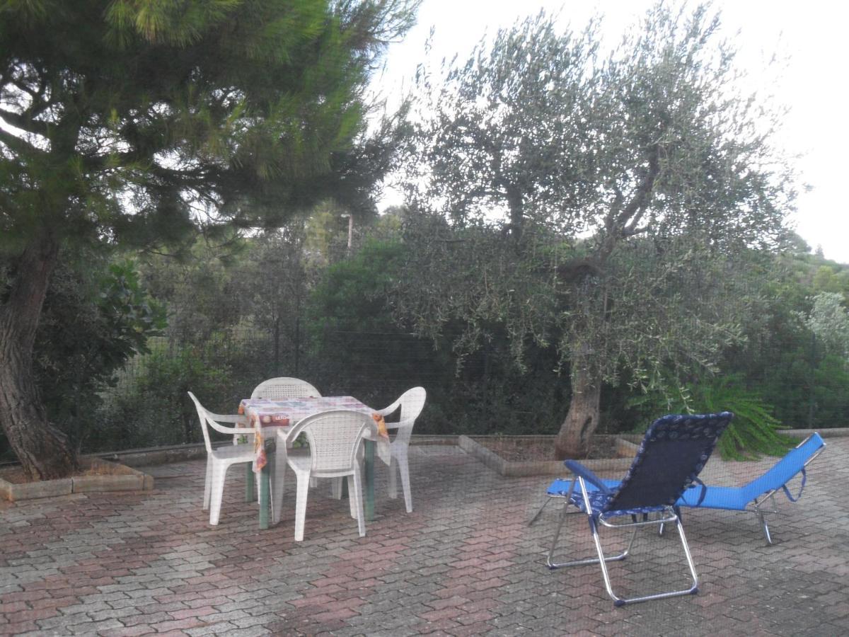 Apartment Lamamare